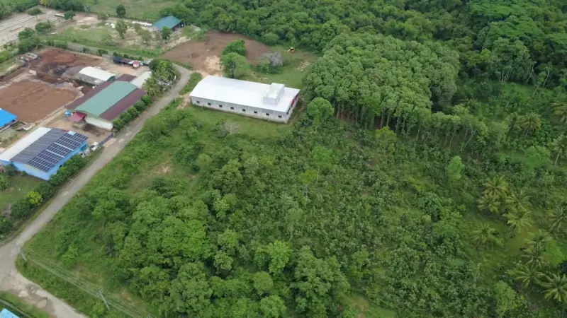 Aerial view of the processing plant buildings among trees