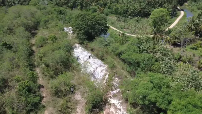 Aerial view of a white quartz vein running through green scrubland